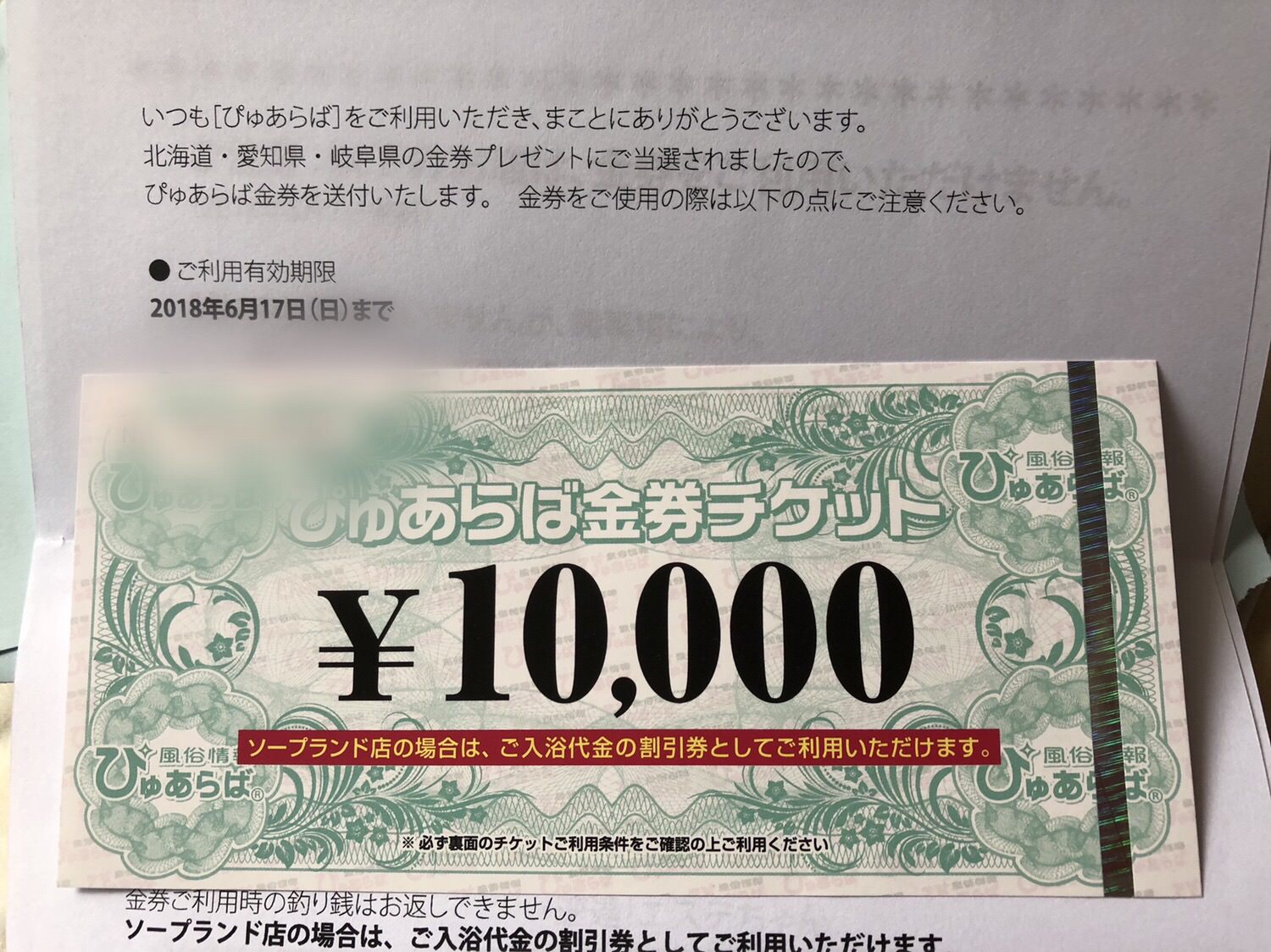 ワイ、風俗割引券10,000円を使いに日帰りすすきの弾丸旅行へ行くの巻