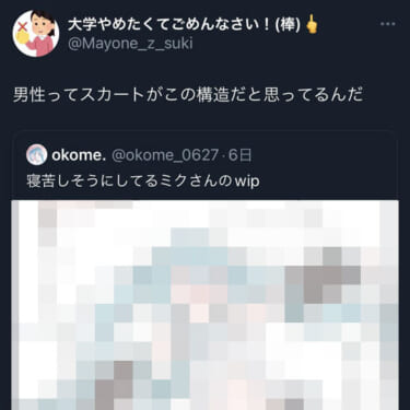 女「童貞弱男ってスカートの構造も知らないんだ(笑)」